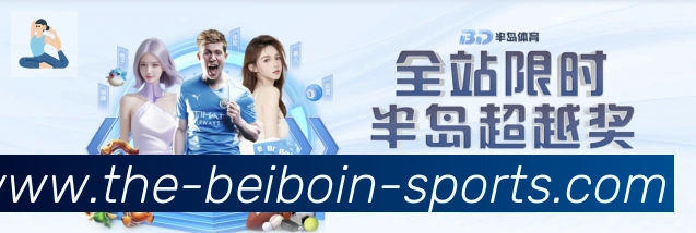 未来规划